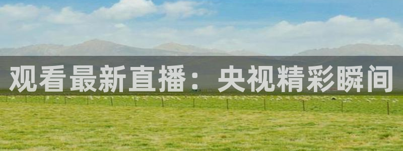 说球帝直播官网