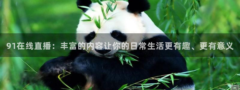 说球帝在线直播app下载