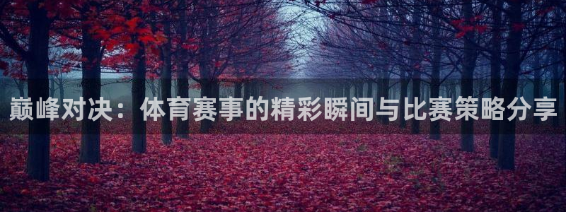说球帝直播官方：巅峰对决：体育赛事的精彩瞬间与比赛策略分享