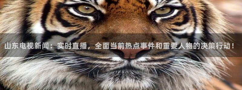 说球帝直播官网下载：山东电视新闻：实时直播，全面当前热点事件和重要人物的决策行动！