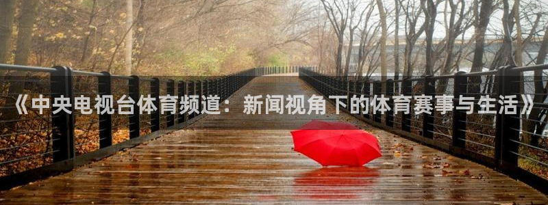 说球帝直播nba：《中央电视台体育频道：新闻视角下的体育赛事与生活》