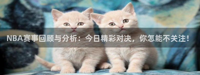 说球帝在线直播观看：NBA赛事回顾与分析：今日精彩对决，你怎能不关注！