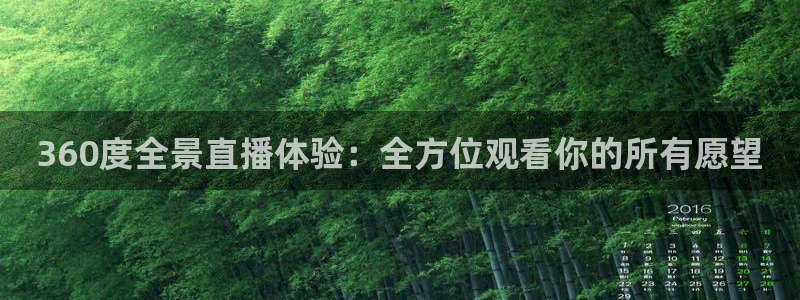 说球帝nba：360度全景直播体验：全方位观看你的所有愿望