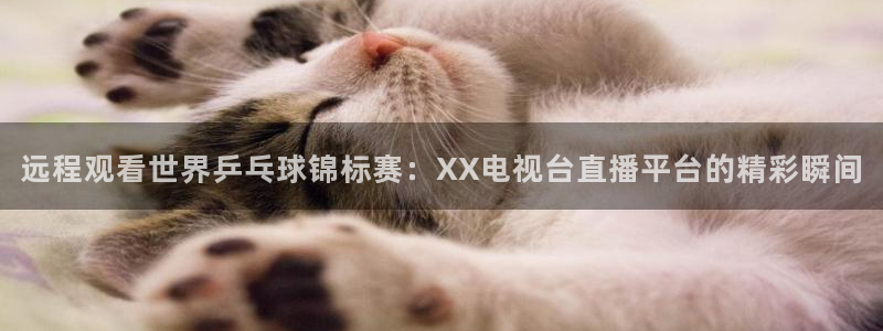 说球帝体育足球篮球五大联赛24小时实时直播：远程观看世界乒乓球锦标赛：XX电视台直播平台的精彩瞬间